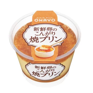 Baked egg pudding