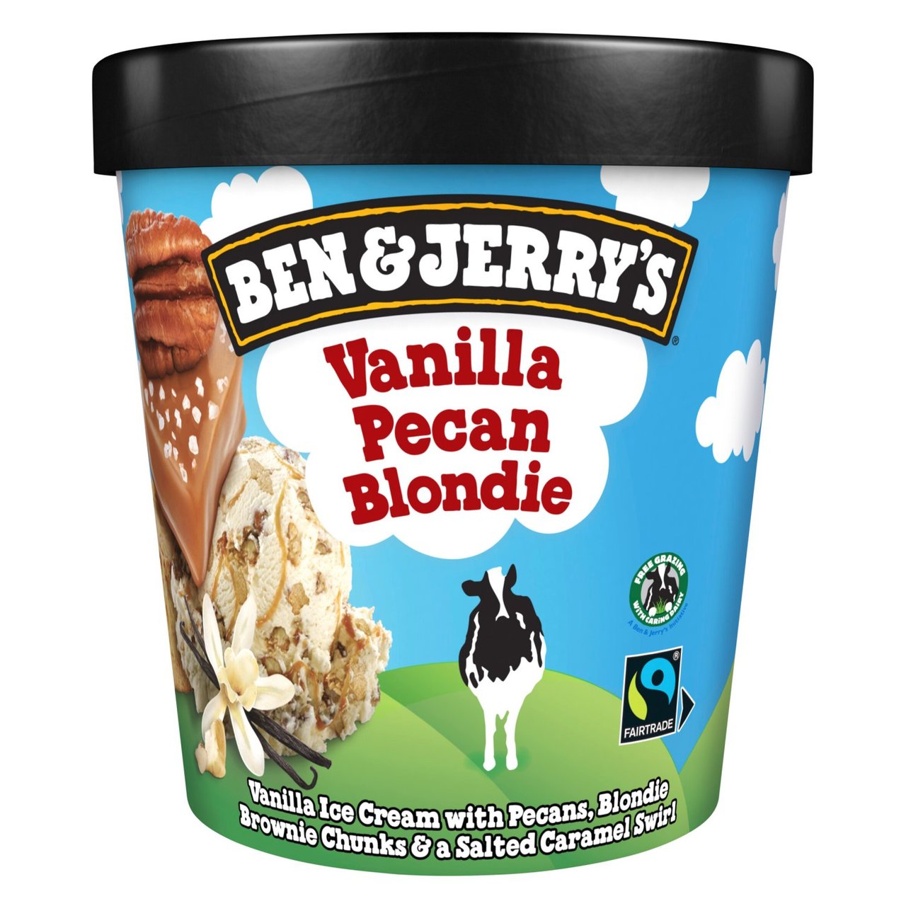 Ben & Jerry's Vanilla Pecan Blondie Ice Cream Tub 465ml is not